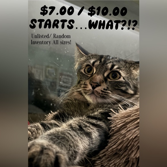 Closet CLEAR out! Friday, March 22 @ 8:00pm Alaska Time. - Picture 1 of 3